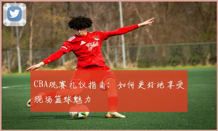 CBA观赛礼仪指南:如何更好地享受现场篮球魅力
