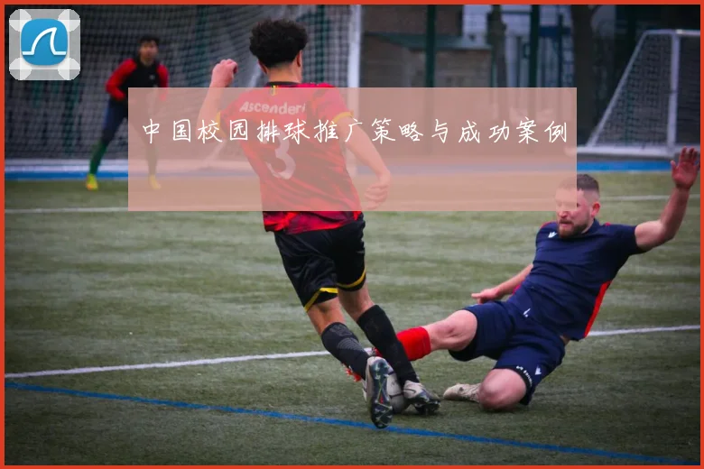 中国校园排球推广策略与成功案例