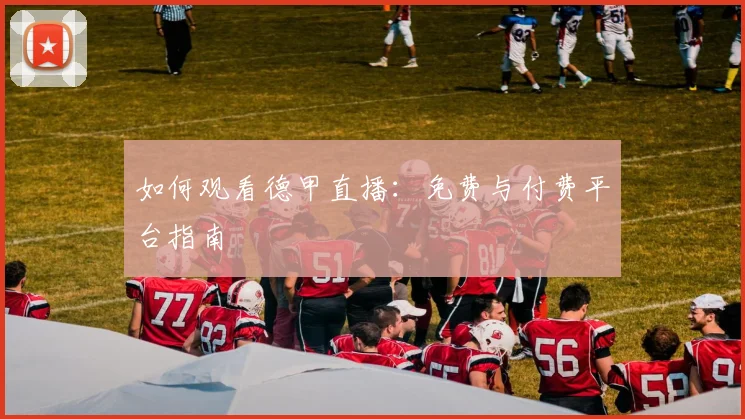 如何观看德甲直播:免费与付费平台指南
