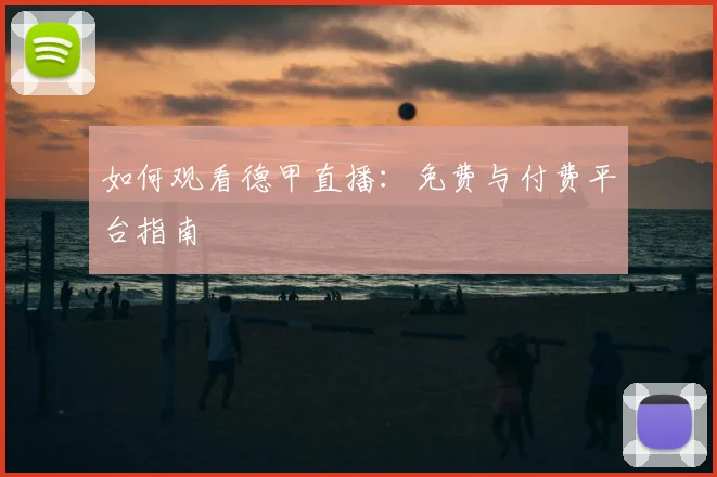 如何观看德甲直播:免费与付费平台指南